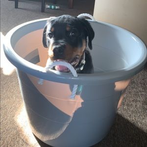 Meet your Posher, Brayden